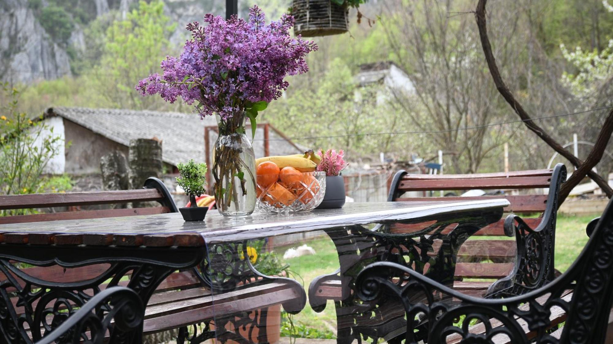 Canyon Matka - Unique Place For Stay Skopje Bagian luar foto
